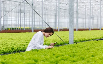 A mezőgazdaság jövője: trendek és kihívások